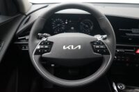 Kia Niro EV Access