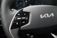 Kia Niro EV Access